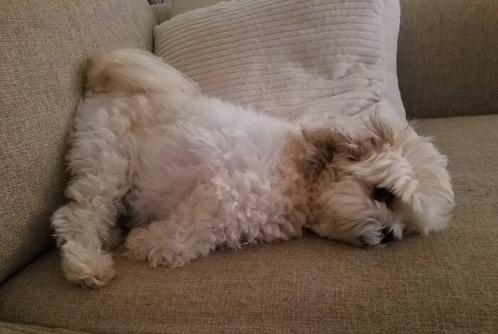 Umm, I Guess That Works