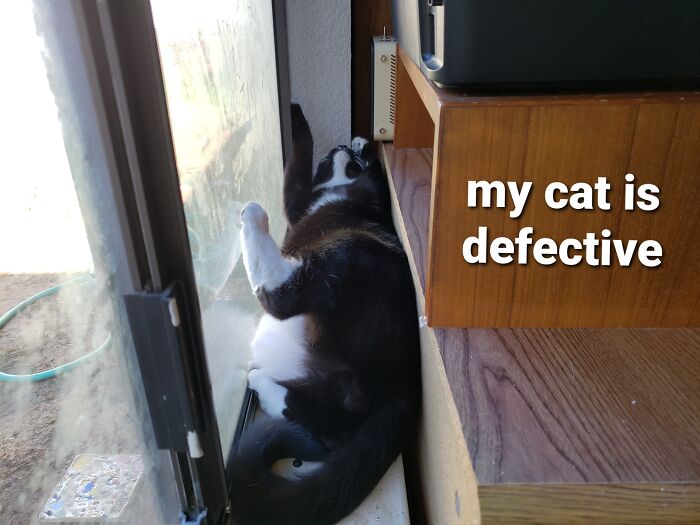 Wyatt The Twitch Flies A Pretend Spaceship...