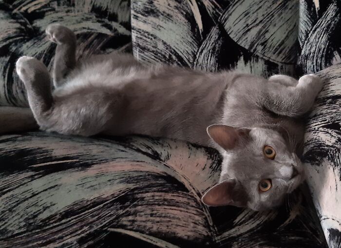 The Angle Makes It Look As If His Head Was Detached From His Body