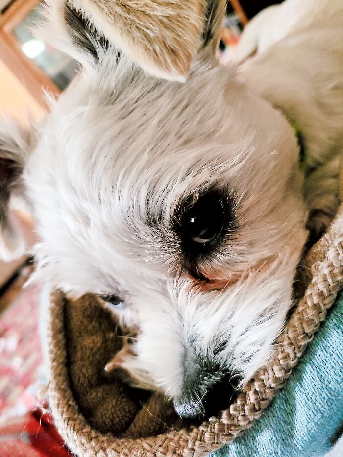 Selvans After His Hair Cut