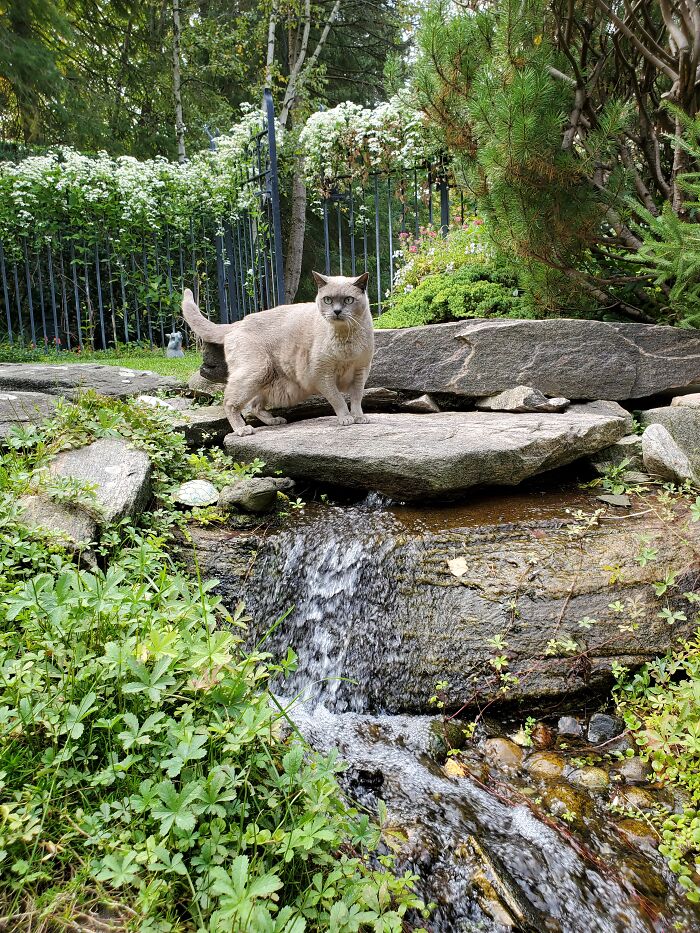 Orion, Ruler Of All He Surveys