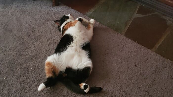 Miss Punx Is Not Being Very Lady Like!