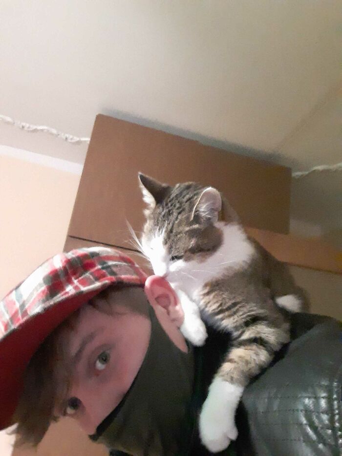 Parrot Cat Jumped On My Back!