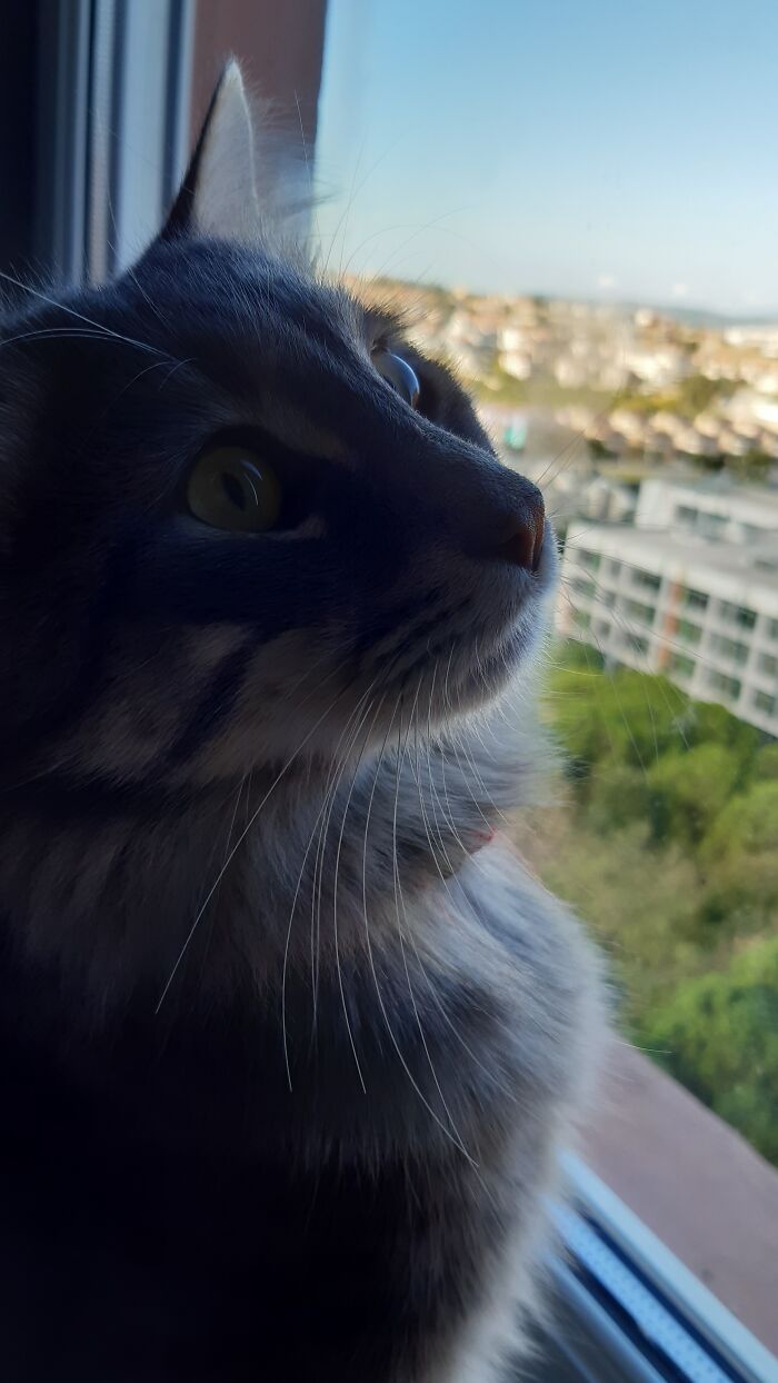 He Looks Good And He Knows It