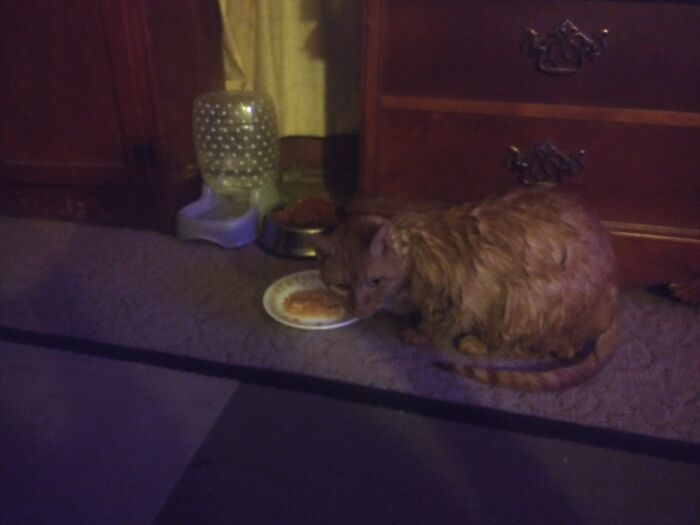 Bathed And Unhappy Delson