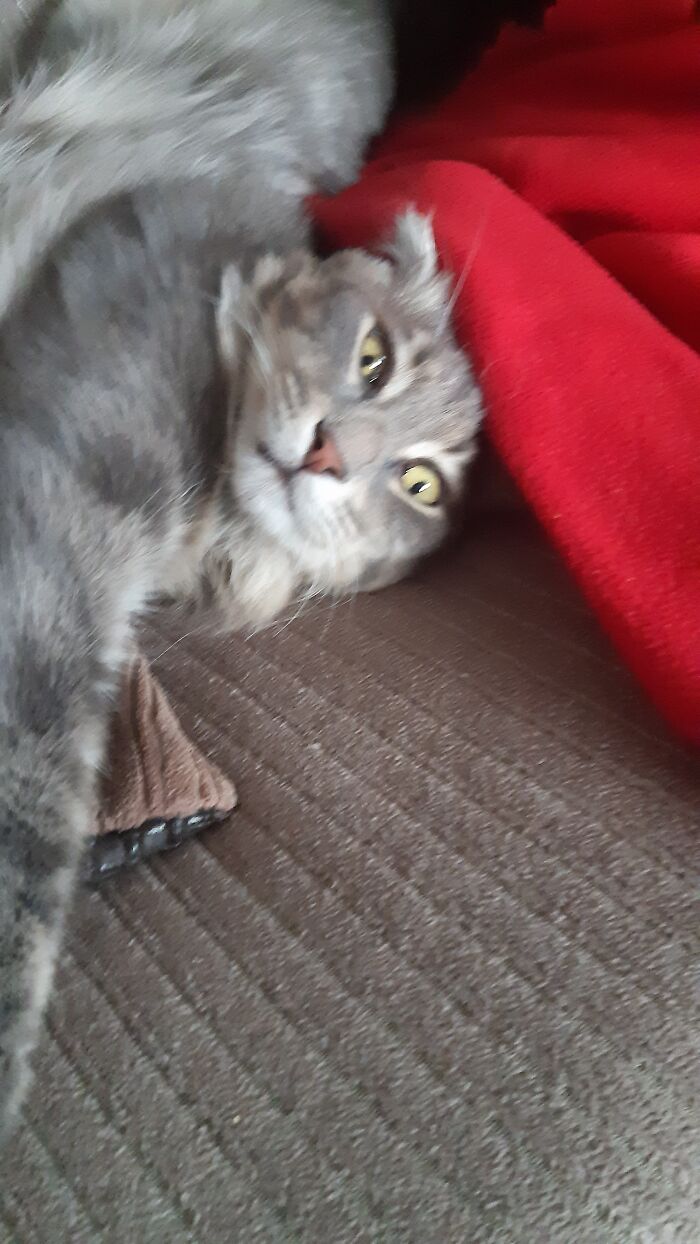 Me In A Roller Coaster Ride :p