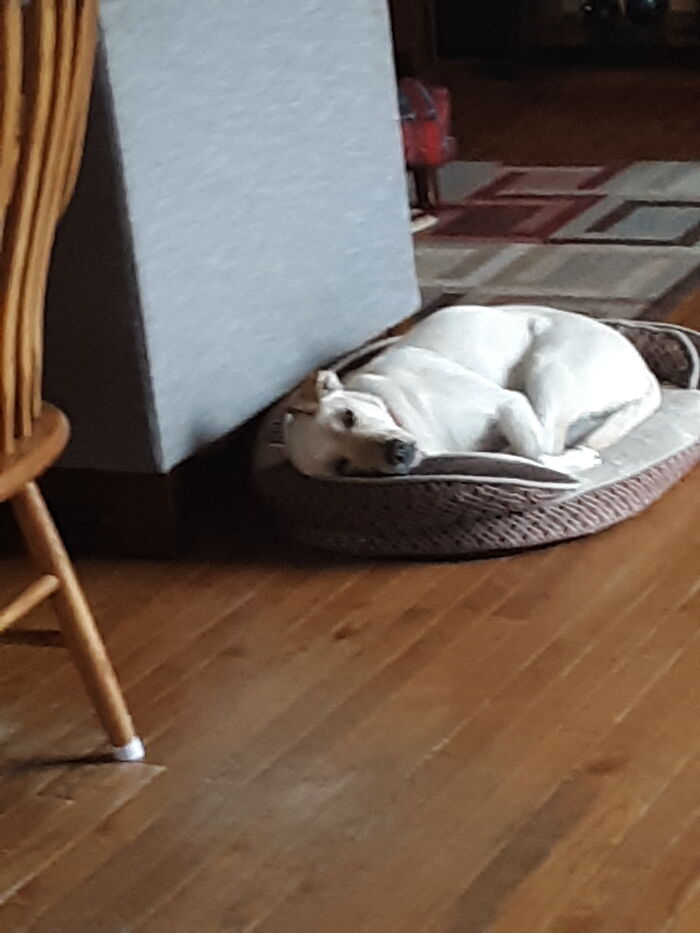 I Come Home To This Silly Girl Lol.