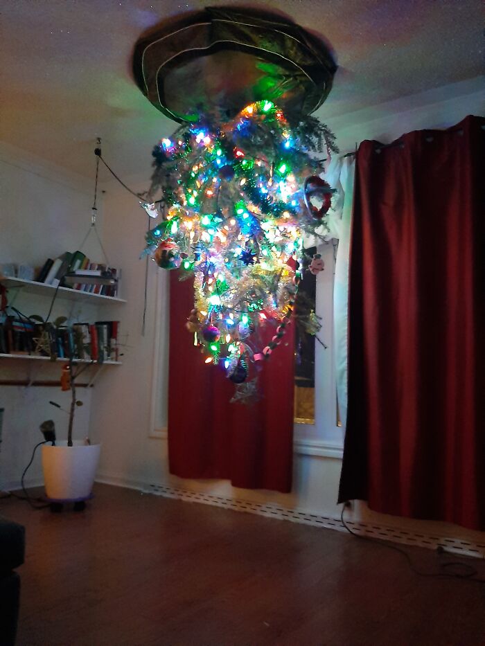 2020 Has Been An Upside Down Kinda Year... Why Not?!