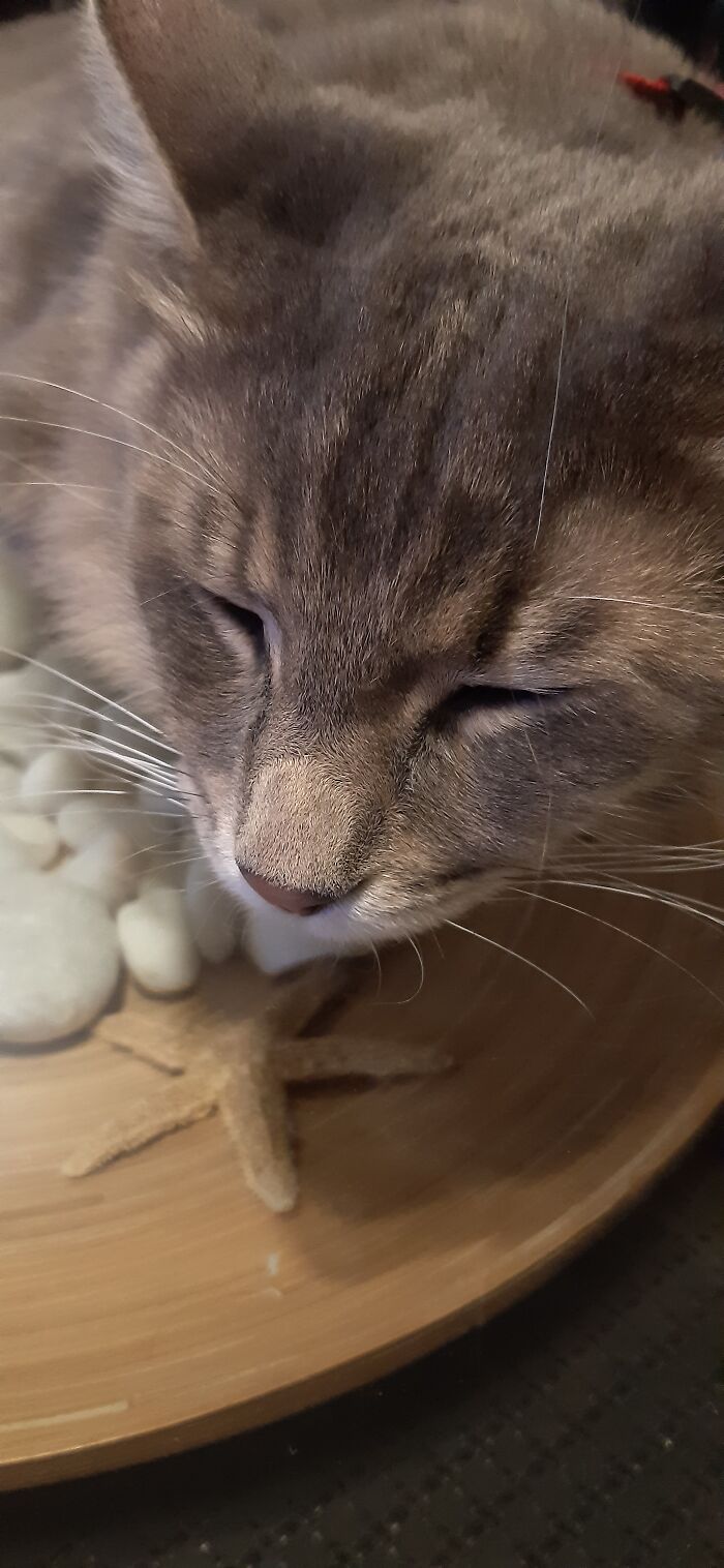 He's So Handsome ಥ‿ಥ