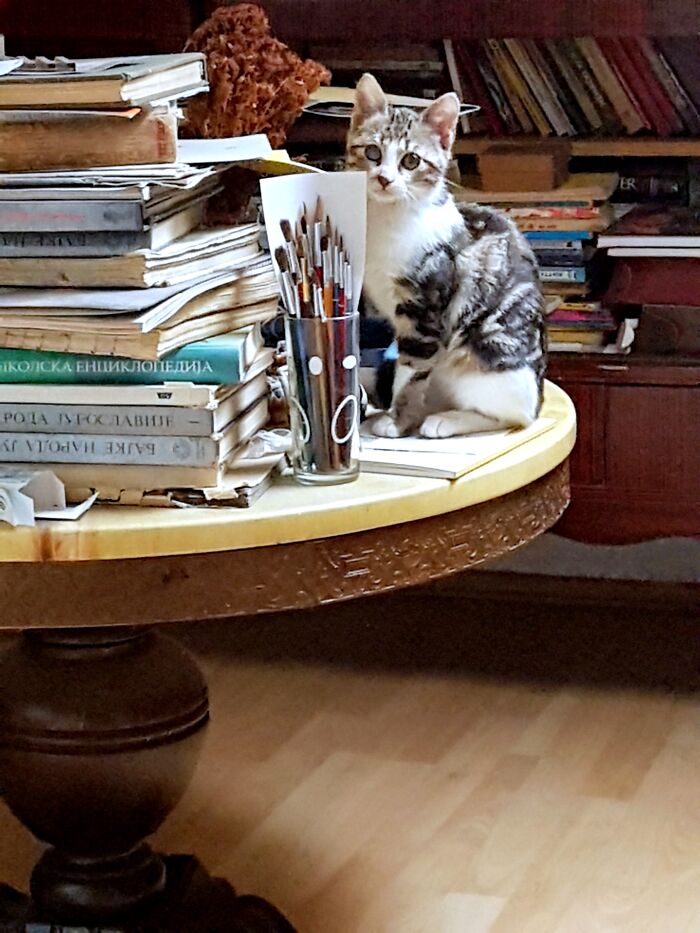 Oliva, The Great Master Of Art