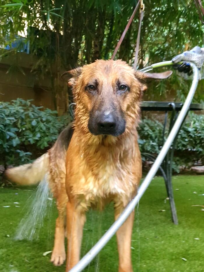 Bath Time Look Of Death!