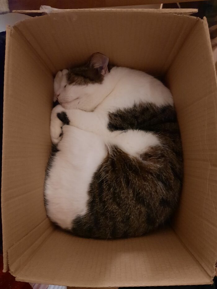 He Is Such A Cliché