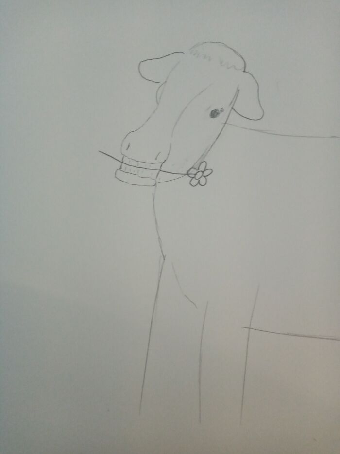 Sorry If This Is Cursed Lol