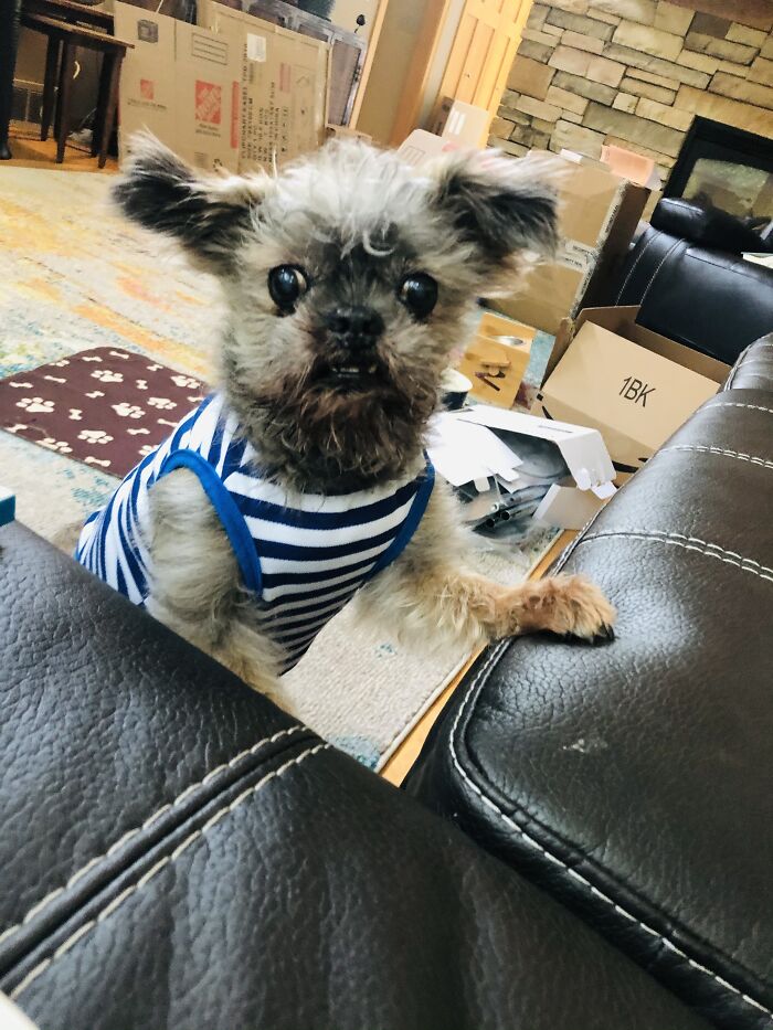 When You Get Caught Eating Food You Thought He Wouldn’t Notice