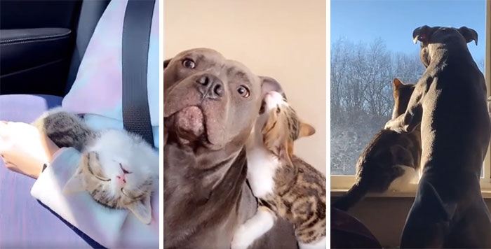 They We're Meant For Each Other