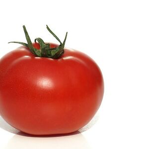 freetomatofarker avatar