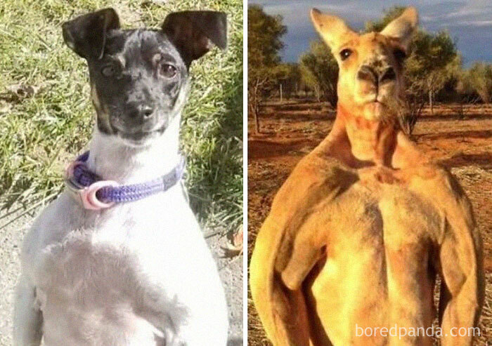 Creepy Really.... She's Only 13 Pounds