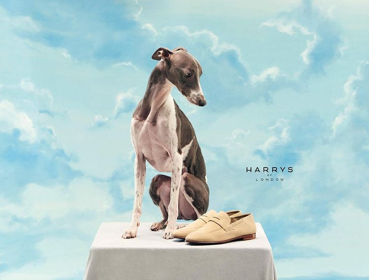 "Don't Piss Off Your Photographer": Photographer Got His Revenge On Sir Philip Green For Being Rude During The Photoshoot