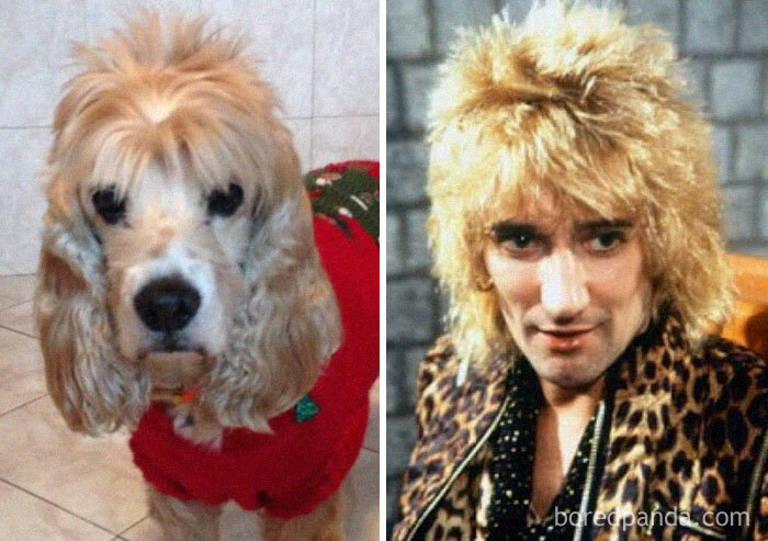 This Was My Pretty Leila, She Was The Daughter Of Rod Stewart. She Passed Away On 2017