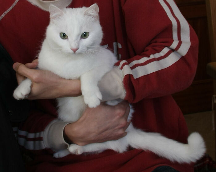 30 People Share How They Realized Their Partner Is 'The One' And How They Got Rid Of Second Thoughts