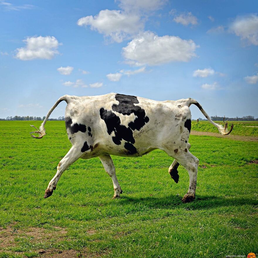 Digital Artist Makes Amazing Image Edits Using Animals, Fruits And Vegetables (120 Pics)