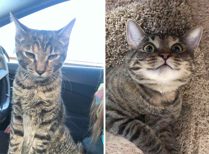 Found This Girl In November 2019