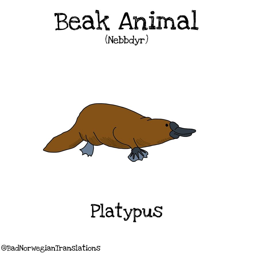 The Simplicity Of The Norwegian Language