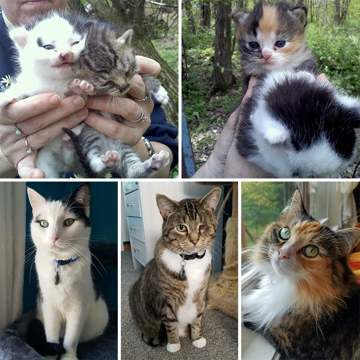 Found The Triplets On Mother's Day 9 Years Ago