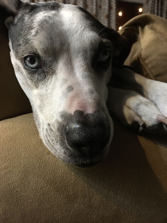 Rip Sadie. Best I Could Do.