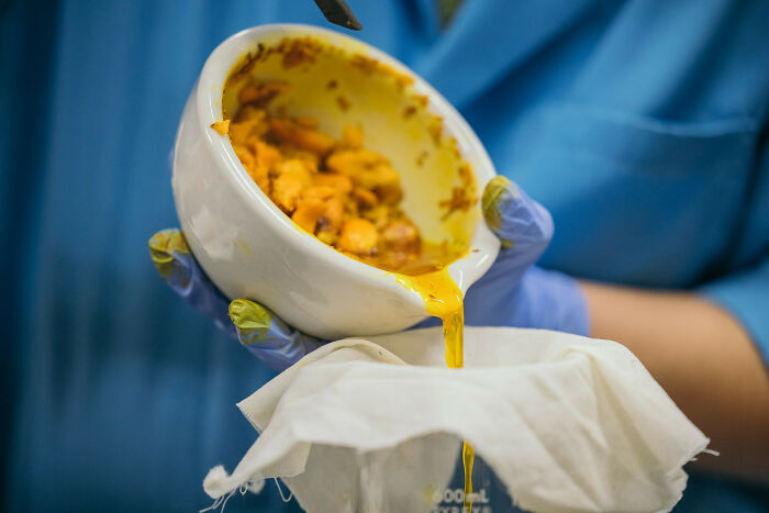 27-Year-Old Student Creates Solar Panels Made From Food Waste That Can Produce Energy Even On Cloudy Days