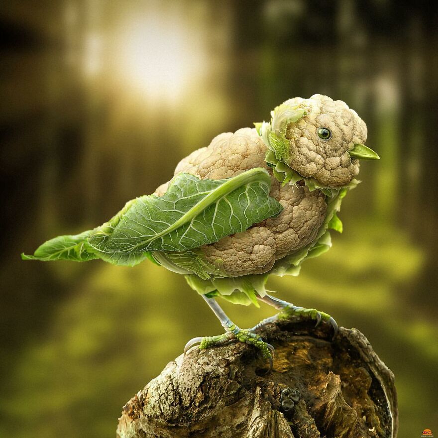 Digital Artist Makes Amazing Image Edits Using Animals, Fruits And Vegetables (120 Pics)