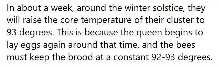 Beekeeper Shares What Bees Do To Stay Warm During Winter Because They Don't Hibernate