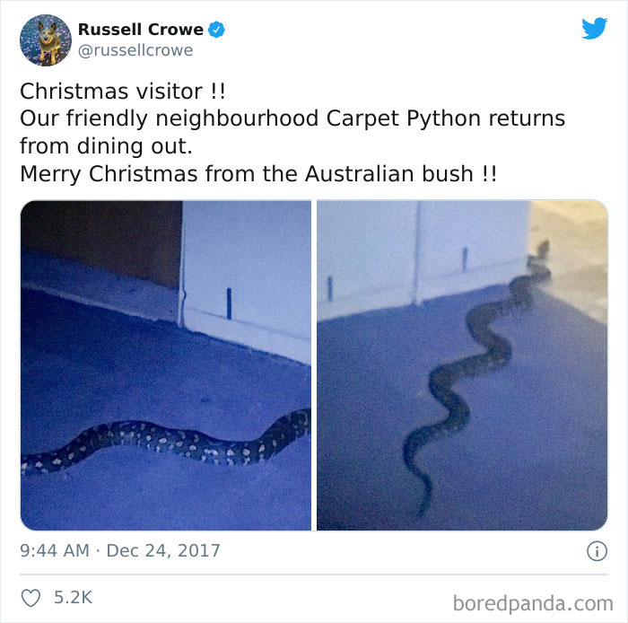 Australian-Christmas-Tweets