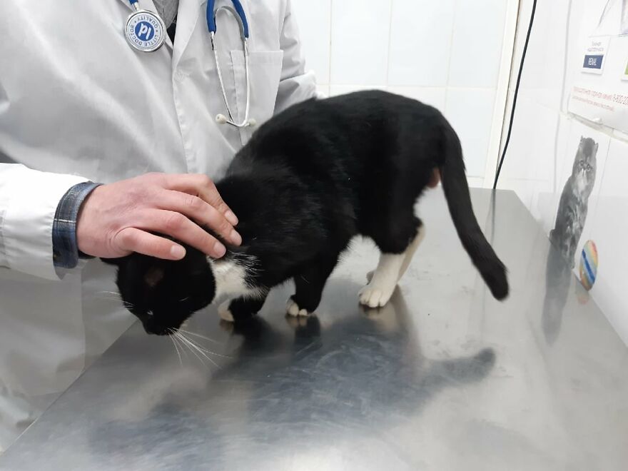 Worker Rescues Cat In A Bag Only Seconds Away From It Being Crushed By Garbage Machine Worker Rescues Cat In A Bag Only Seconds Away From It Being Crushed By Garbage Machine
