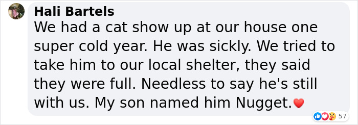 Sick And Cold Stray Cat Knocks On Woman's Window Asking To Be Let In Sick And Cold Stray Cat Knocks On Woman's Window Asking To Be Let In