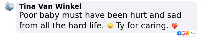 Sick And Cold Stray Cat Knocks On Woman's Window Asking To Be Let In Sick And Cold Stray Cat Knocks On Woman's Window Asking To Be Let In