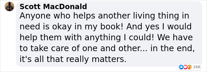 Sick And Cold Stray Cat Knocks On Woman's Window Asking To Be Let In Sick And Cold Stray Cat Knocks On Woman's Window Asking To Be Let In