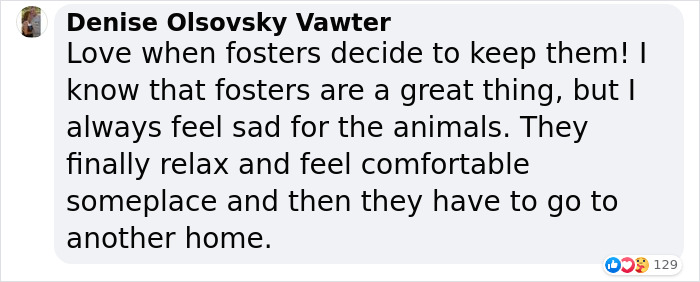 Sick And Cold Stray Cat Knocks On Woman's Window Asking To Be Let In Sick And Cold Stray Cat Knocks On Woman's Window Asking To Be Let In