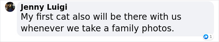 Dog Shamelessly Photobombs Every Single Family Christmas Pic, Ends Up Creating The Perfect Christmas Card