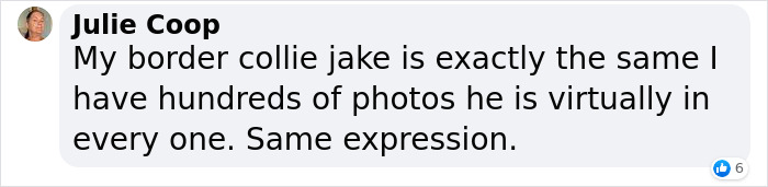 Dog Shamelessly Photobombs Every Single Family Christmas Pic, Ends Up Creating The Perfect Christmas Card Dog Shamelessly Photobombs Every Single Family Christmas Pic, Ends Up Creating The Perfect Christmas Card