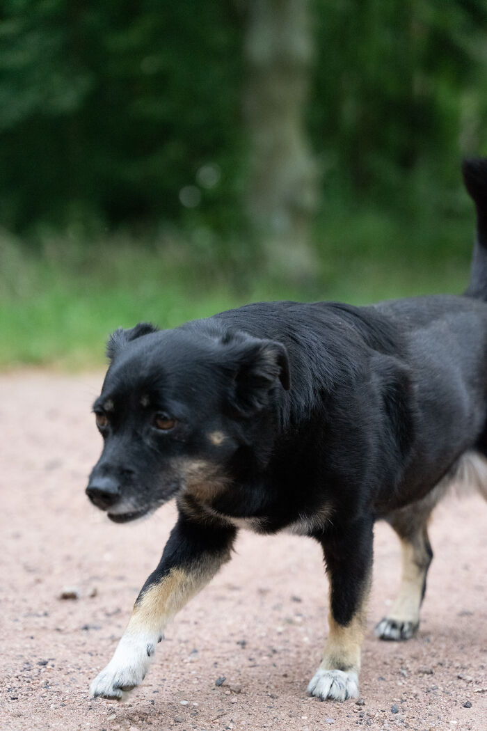 Milka With Her "I Am Done With 2020" Face