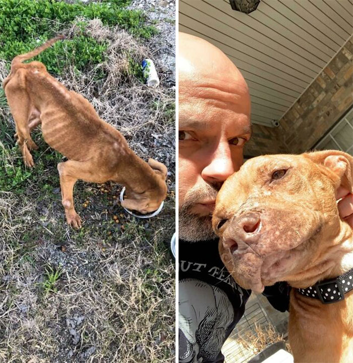 Found This Girl On Sunday In The Woods. Yesterday, She Gave Me A Kiss