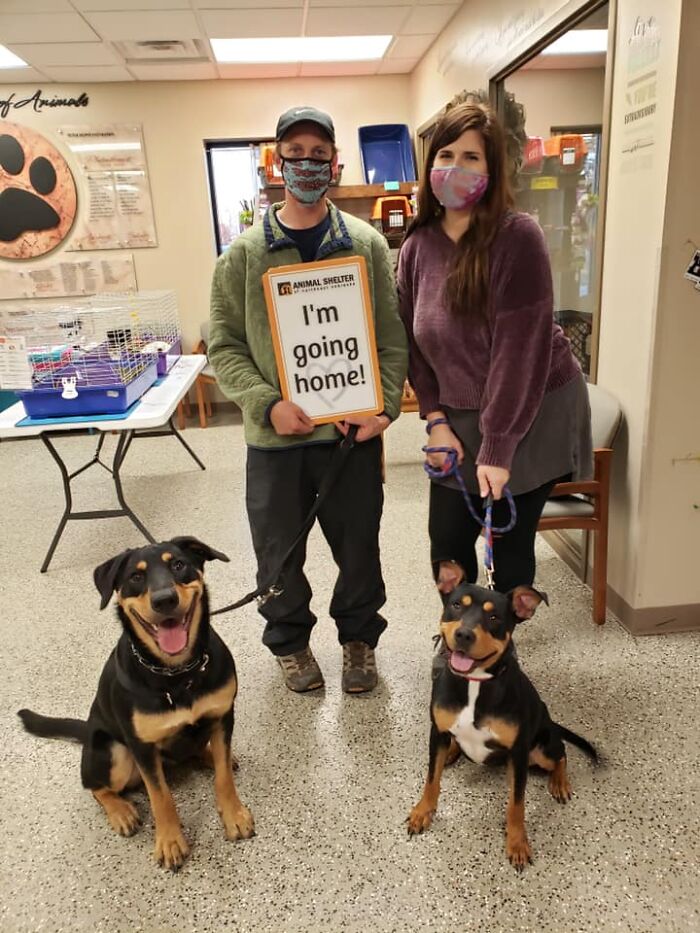 Not Sure Who’s Happier; Penny, On The Left, Who’s Getting A New Best Friend... Or Rosie, Who Made It All The Way From A Kill Shelter In Oklahoma, And Is Now Coming Home With Us In Nebraska