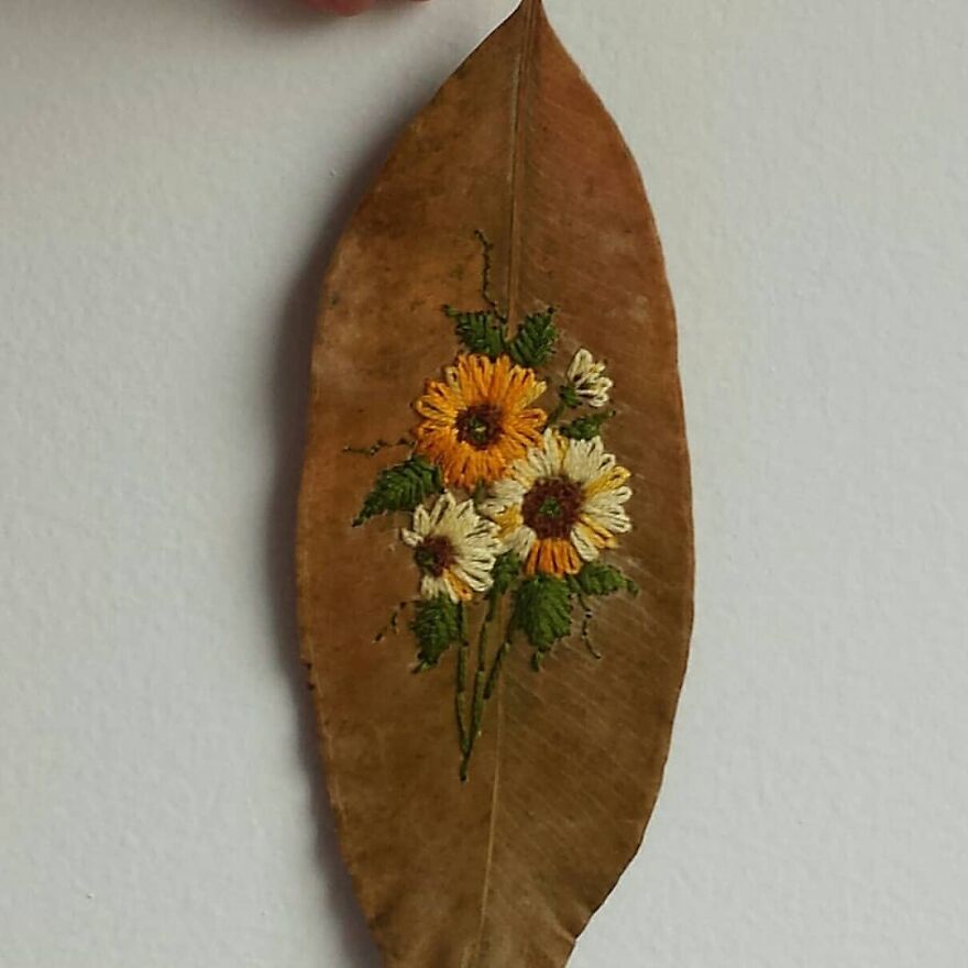 What Nature Discards, This Brazilian Artist Takes The Opportunity To Beautify Life