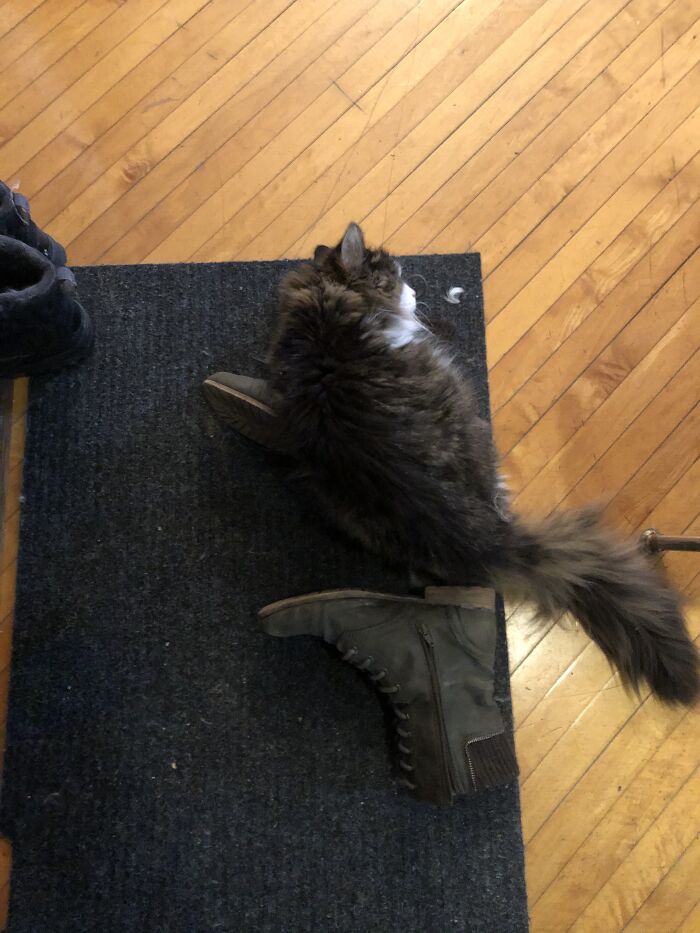 If I See It, I Must Sleep On It!