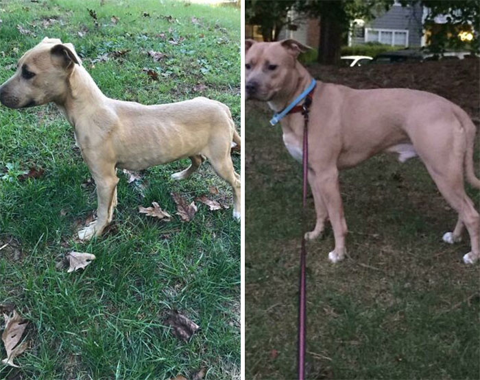 These Pictures Were Taken Exactly One Year Apart!