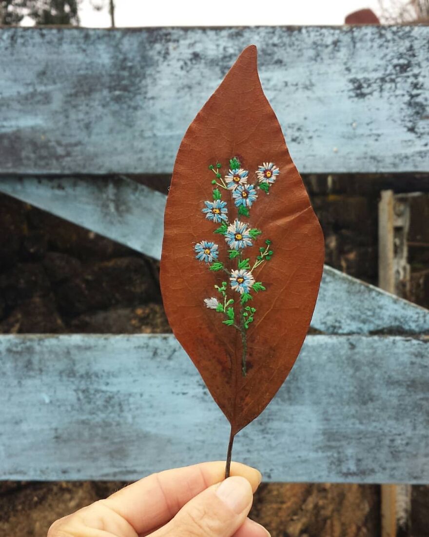 What Nature Discards, This Brazilian Artist Takes The Opportunity To Beautify Life