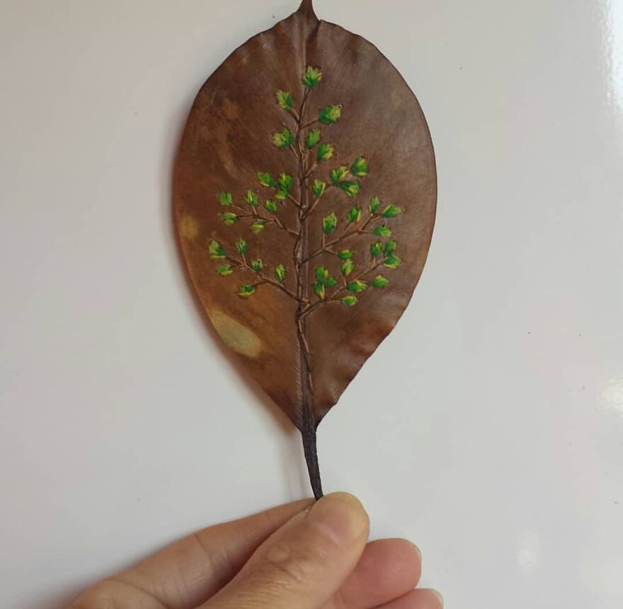 What Nature Discards, This Brazilian Artist Takes The Opportunity To Beautify Life