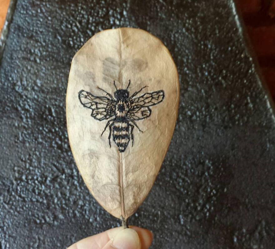 What Nature Discards, This Brazilian Artist Takes The Opportunity To Beautify Life