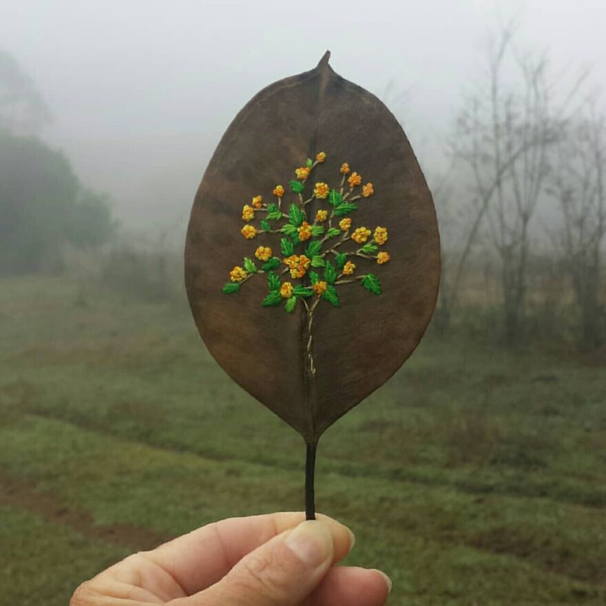 What Nature Discards, This Brazilian Artist Takes The Opportunity To Beautify Life